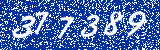 Capcha image