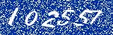 Capcha image