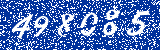 Capcha image